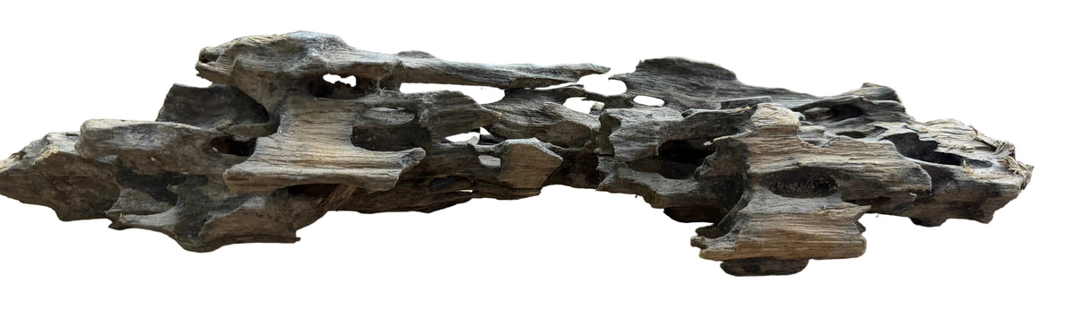 Texture / Shrimp Driftwood
