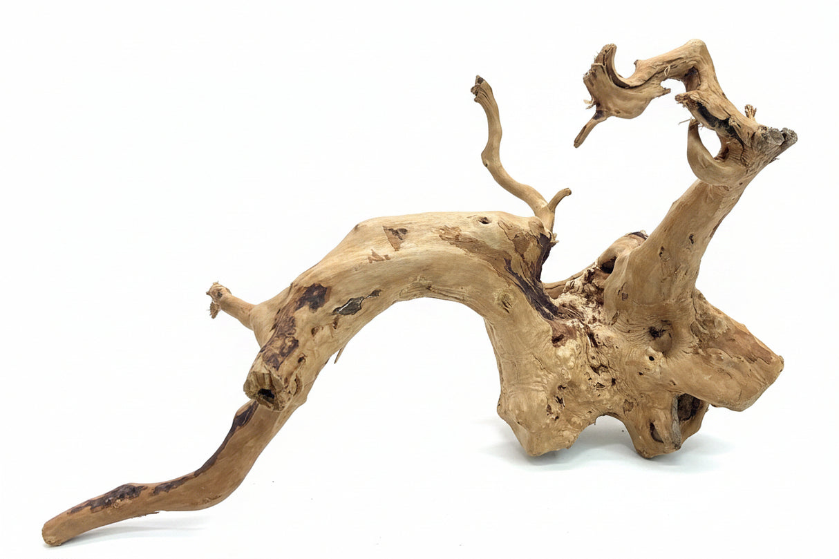 Large Piece of Spiderwood