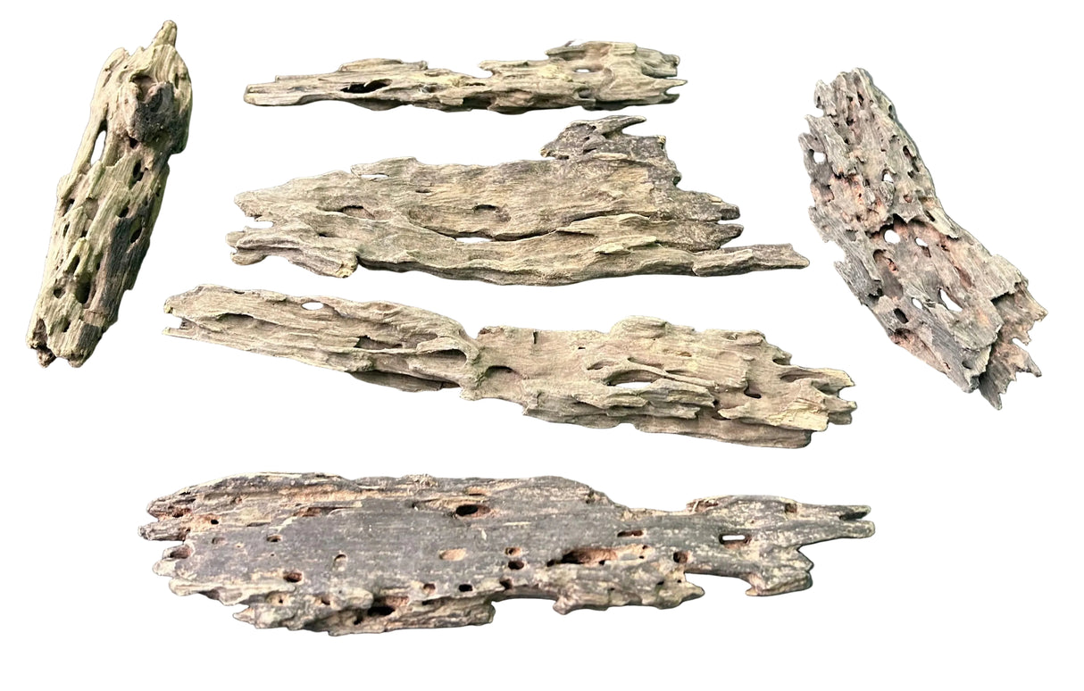 W.Y.S.I.W.Y.G.- 204 - Texture / Shrimp Driftwood (6 pieces) | Substrates & Hardscape | Largest Tropical Fish Selection at Your Local Fish Store