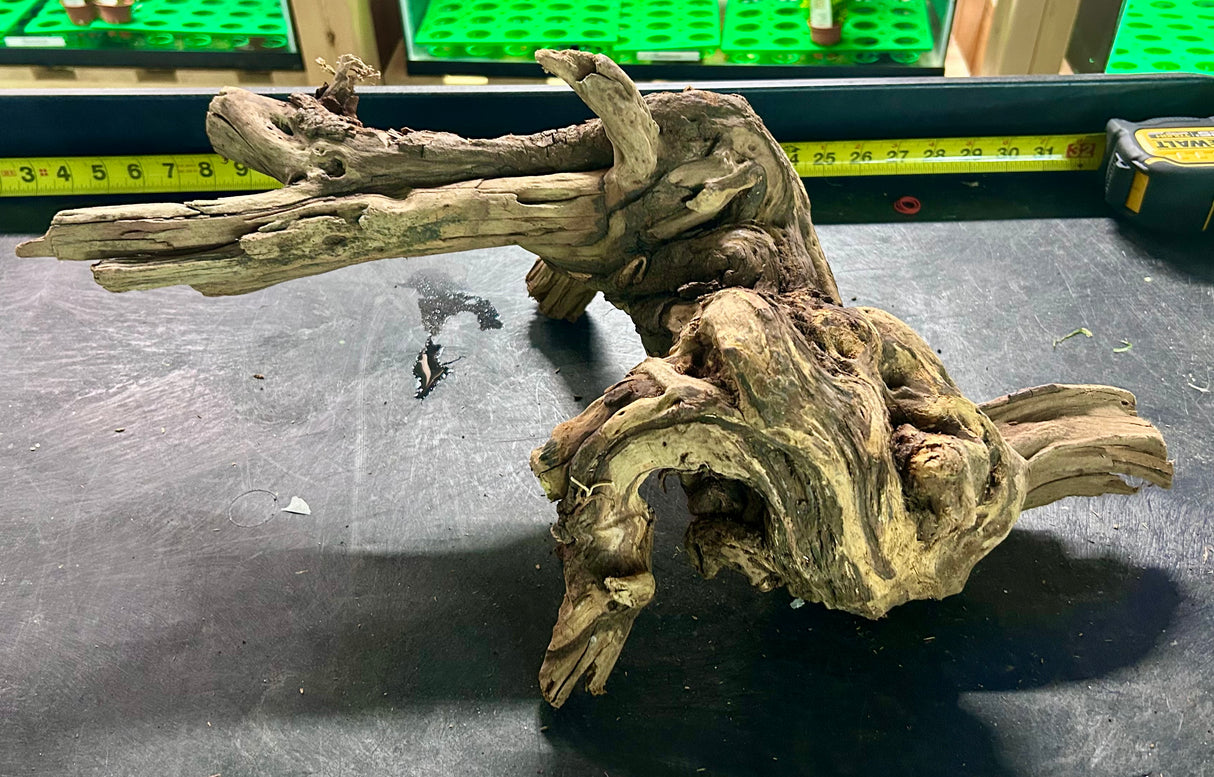 W.Y.S.I.W.Y.G.- 412 - Malaysian Mangrove Wood