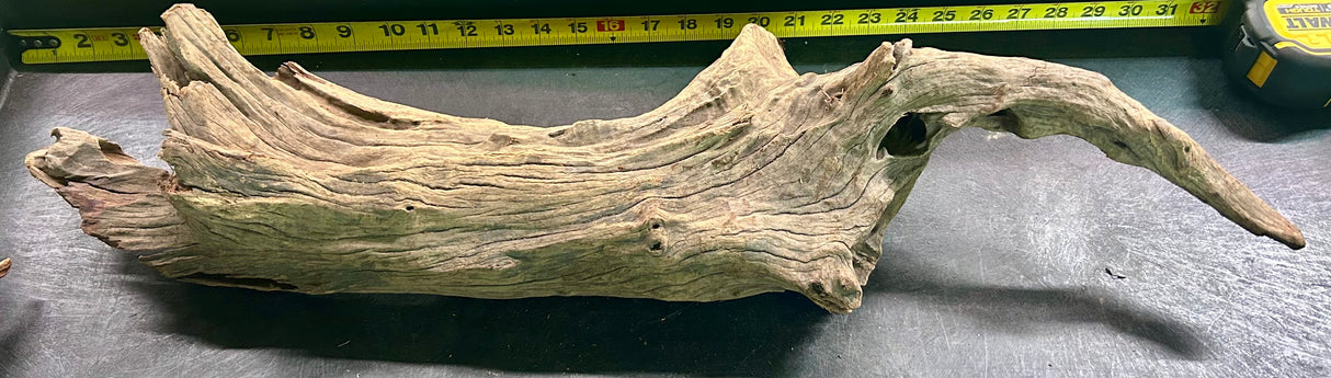 W.Y.S.I.W.Y.G.- 419 - Malaysian Mangrove Wood