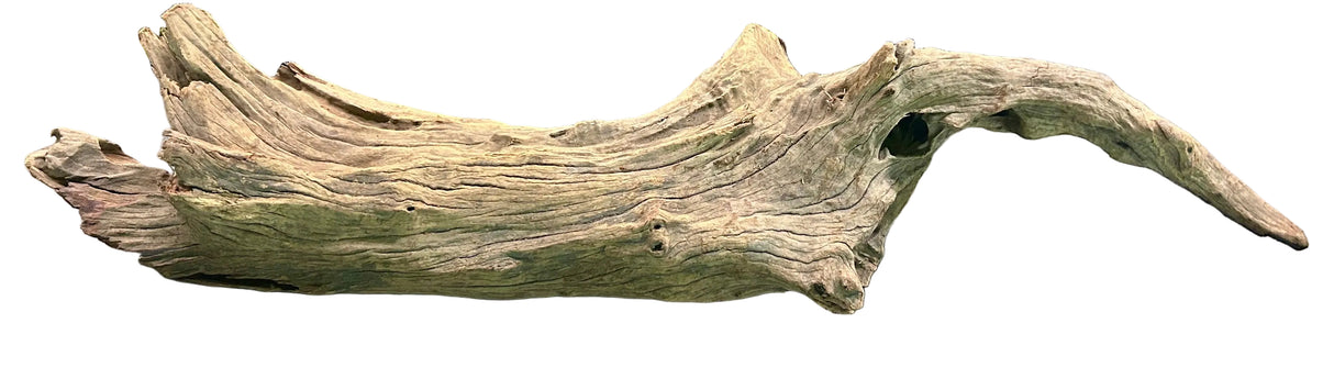 Malaysian Mangrove Wood
