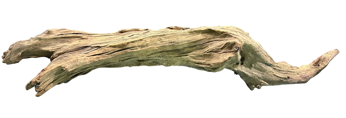 Malaysian Mangrove Wood