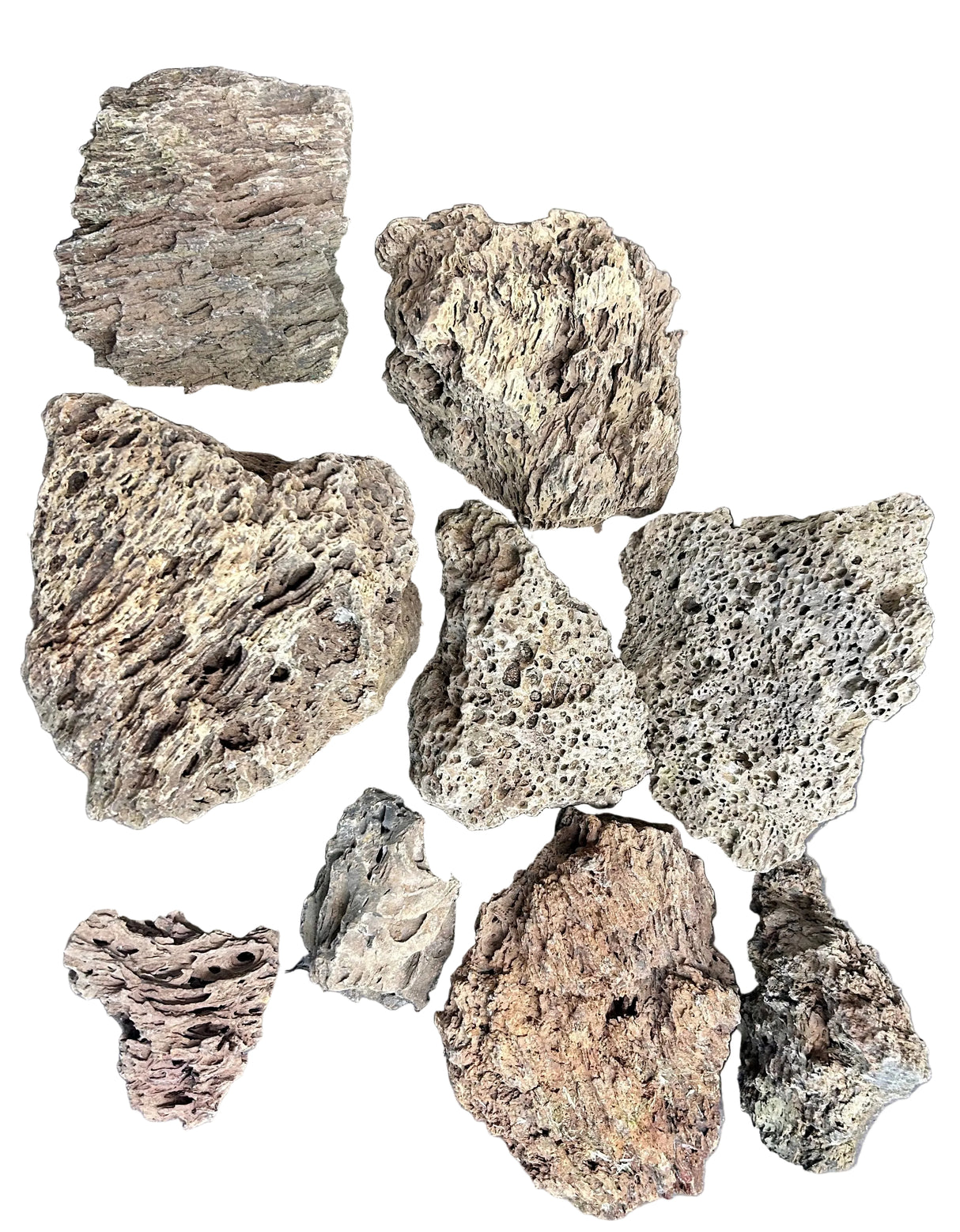 Brown Pimple ( Lava ) Rock