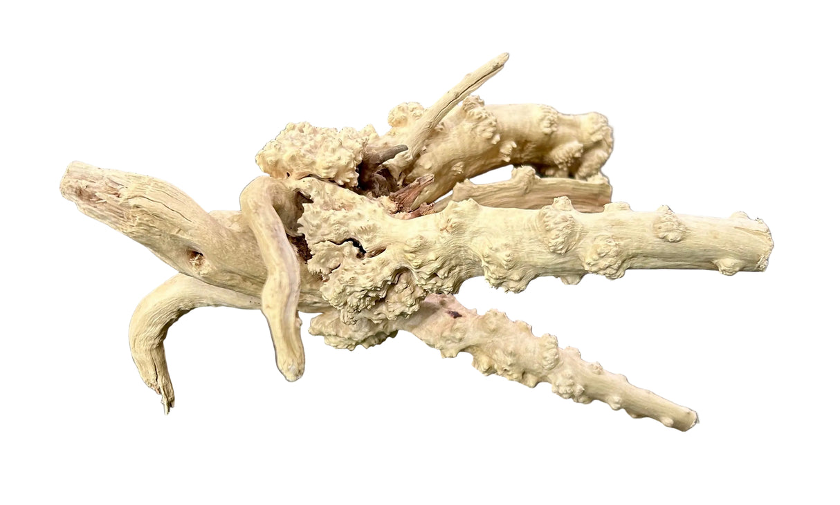 Piece of Spiderwood