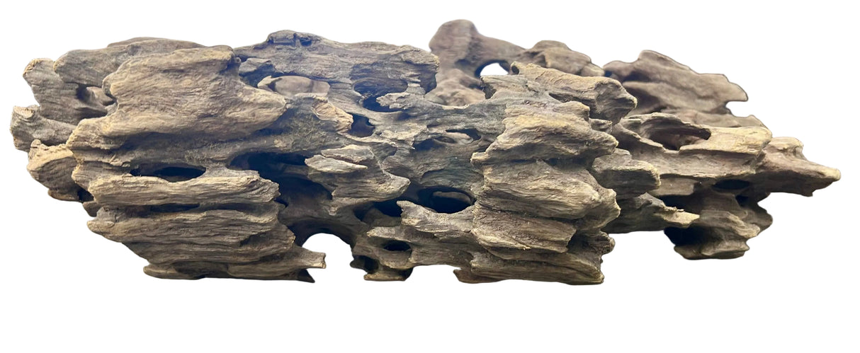 Texture / Shrimp Driftwood