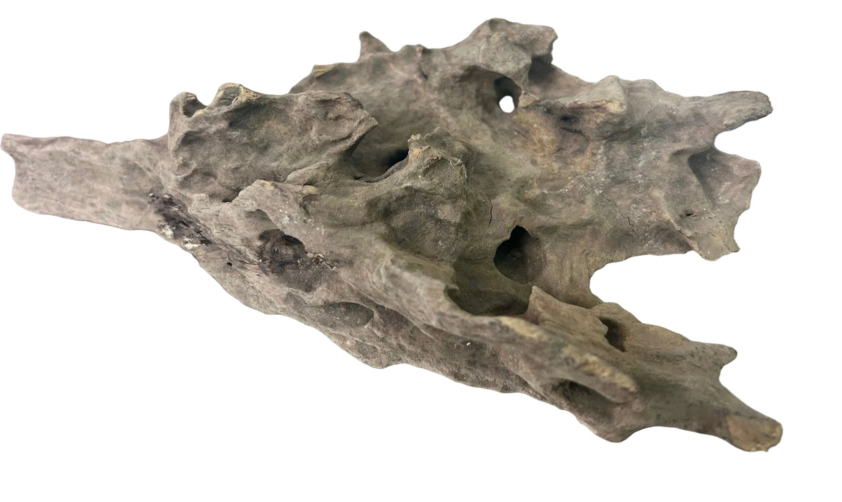 Texture / Shrimp Driftwood