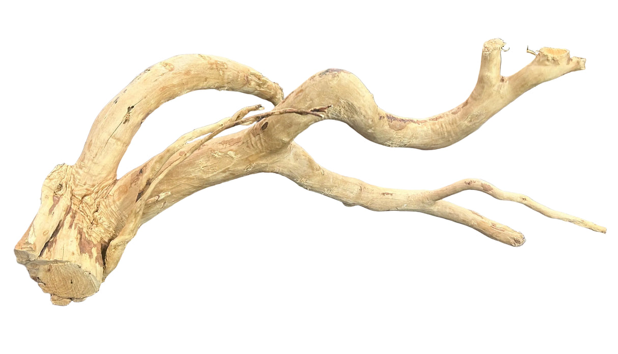 Large Piece of Spiderwood