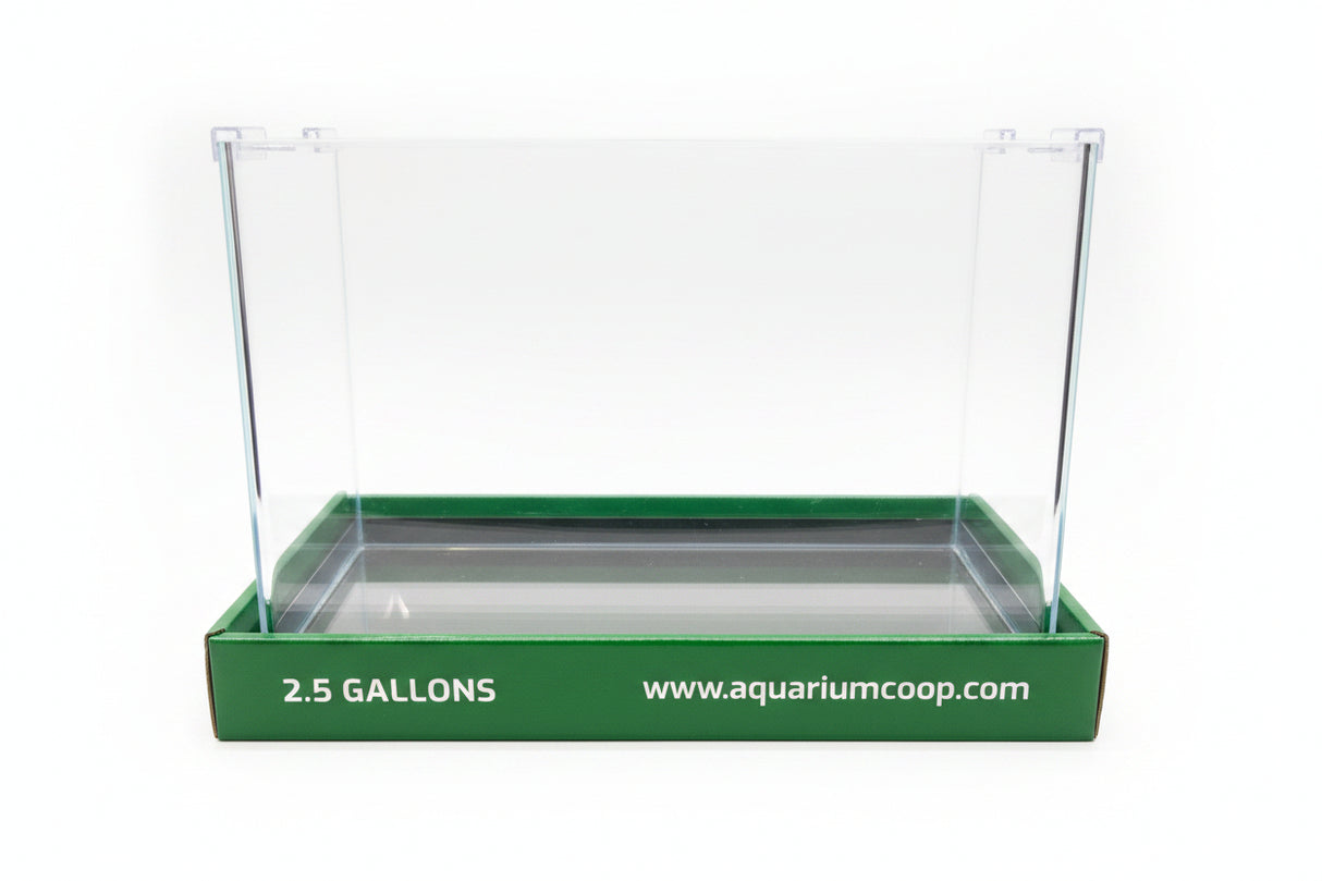 Aquarium Co-Op Curved Front Glass Aquarium | Aquariums | Largest Tropical Fish Selection at Your Local Fish Store