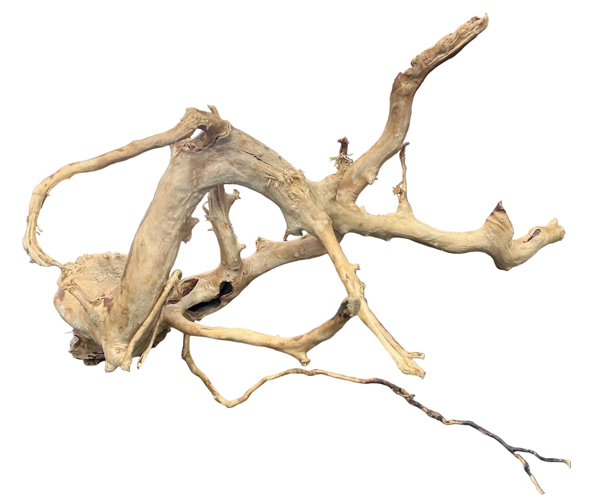 Large Piece of Spiderwood