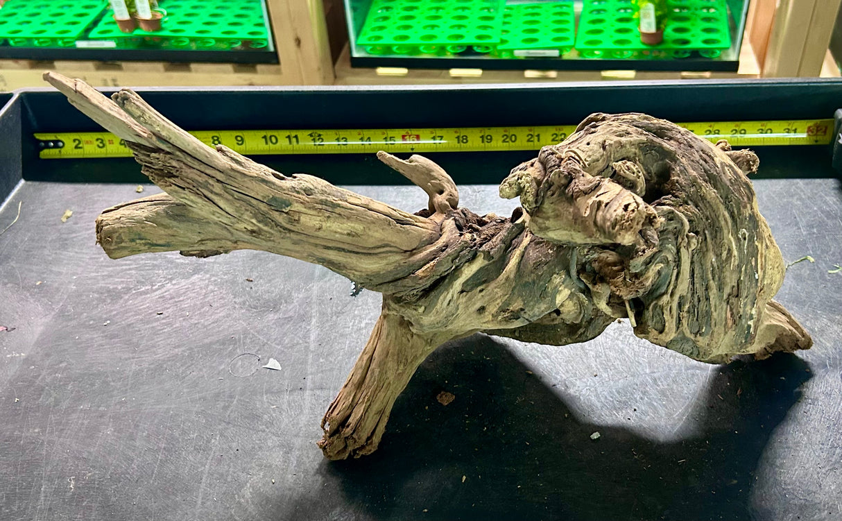 W.Y.S.I.W.Y.G.- 412 - Malaysian Mangrove Wood