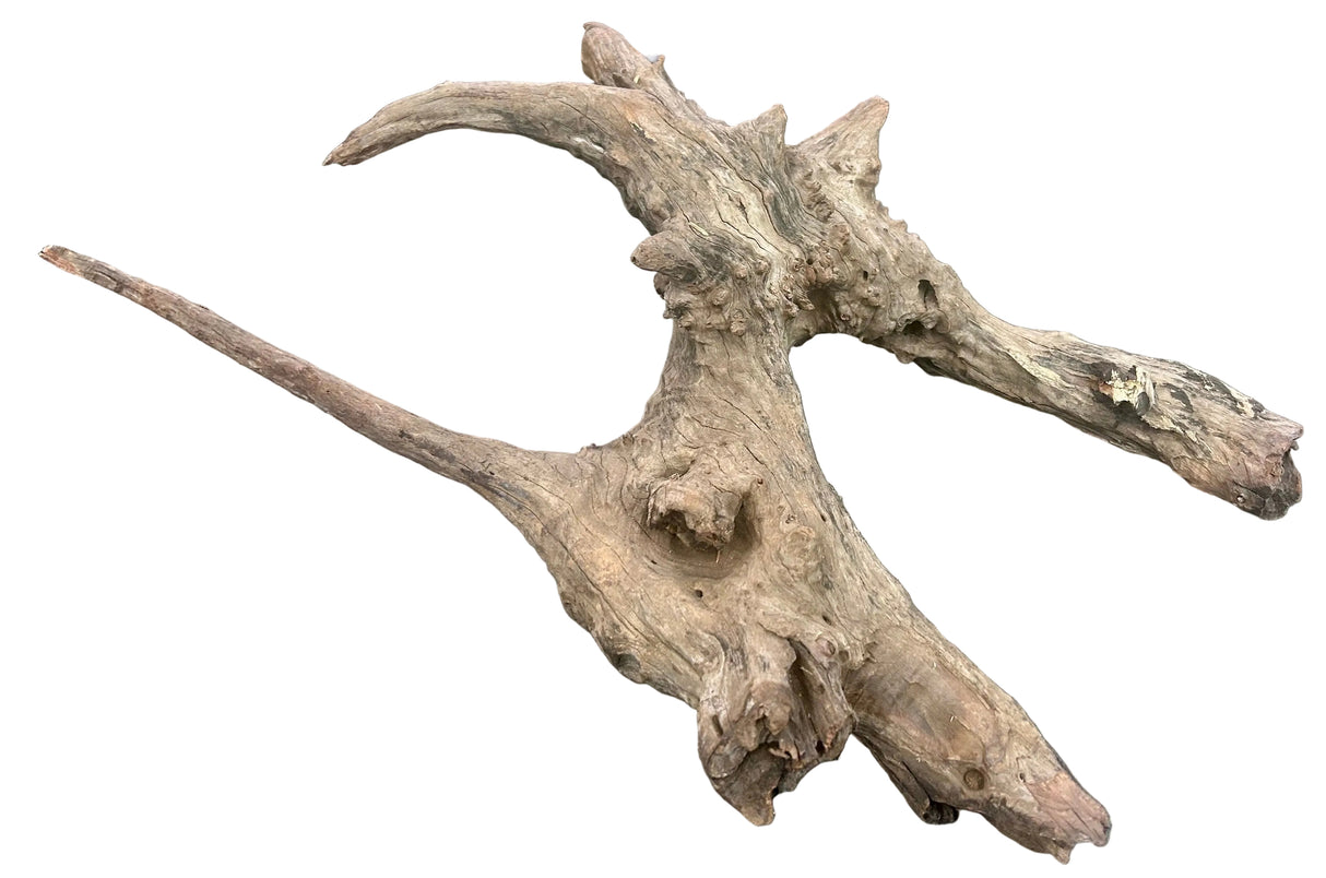 W.Y.S.I.W.Y.G.- 416 - Malaysian Mangrove Sinking Driftwood | Substrates & Hardscape | Largest Tropical Fish Selection at Your Local Fish Store