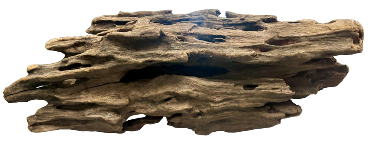 Texture / Shrimp Driftwood