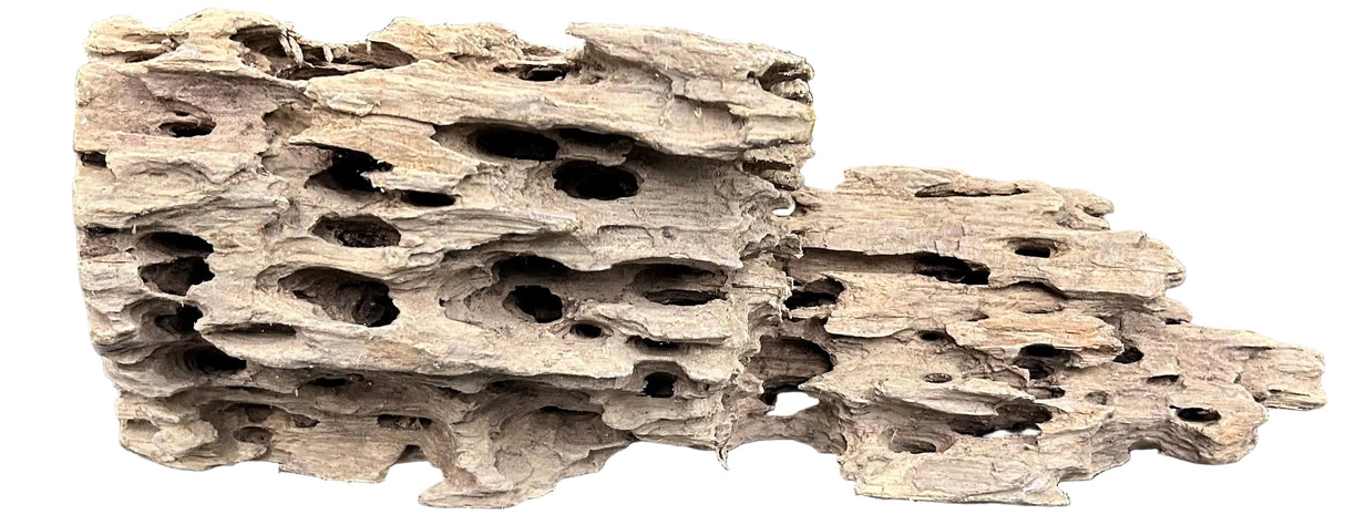 Texture / Shrimp Driftwood