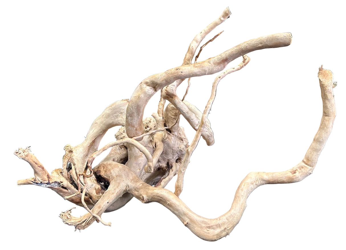Large Piece of Spiderwood