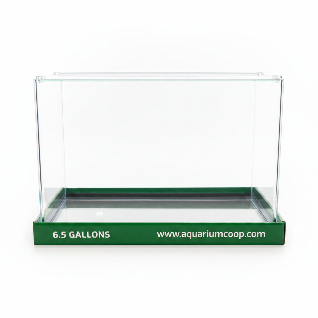 Aquarium Co-Op Curved Front Glass Aquarium | Aquariums | Largest Tropical Fish Selection at Your Local Fish Store