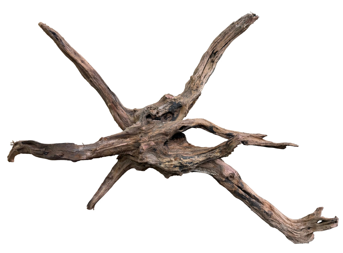 Malaysian Sinking Driftwood