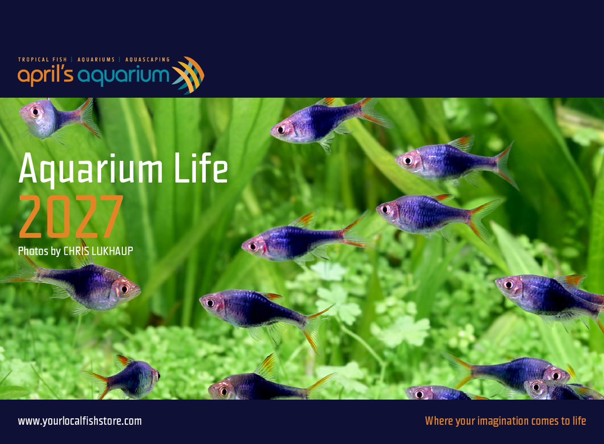 Aprils Aquarium " Aquarium Life" 2027 Wall Calendar by Chris Lukhaup