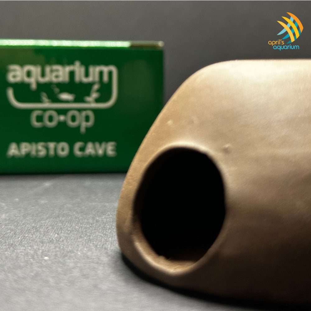 Aquarium Co-Op Apisto Cave | Decoration | Largest Tropical Fish Selection at Your Local Fish Store