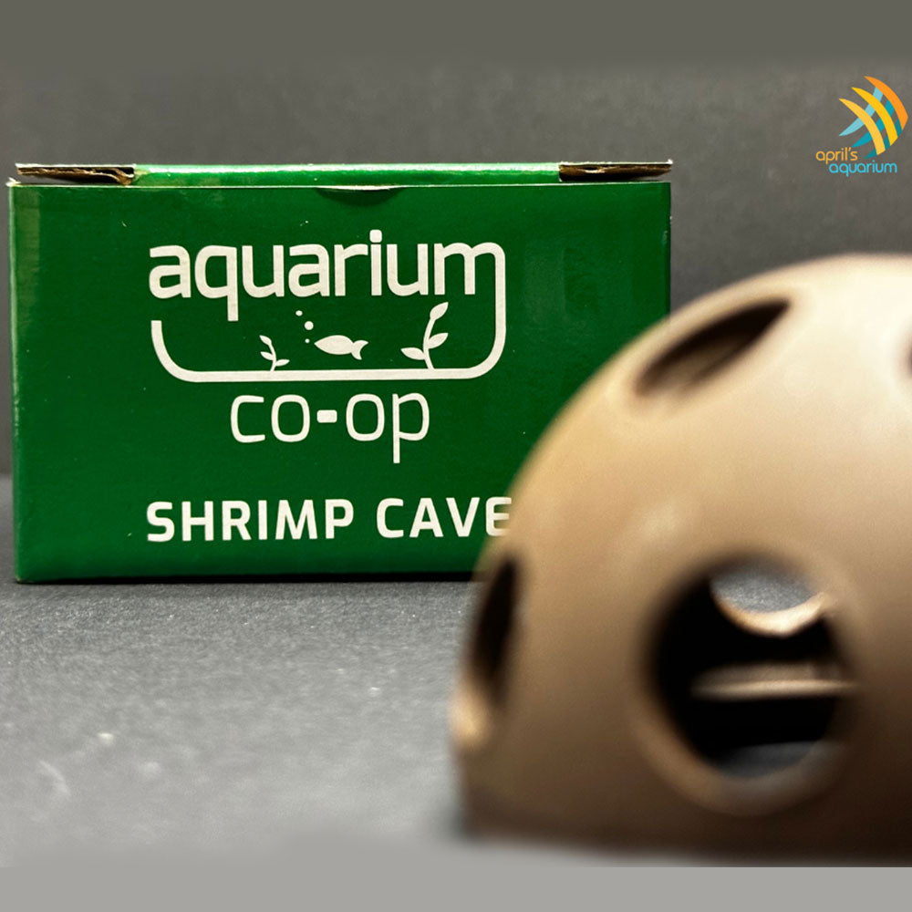Aquarium Co-Op Shrimp Cave | Substrates & Hardscape | Largest Tropical Fish Selection at Your Local Fish Store