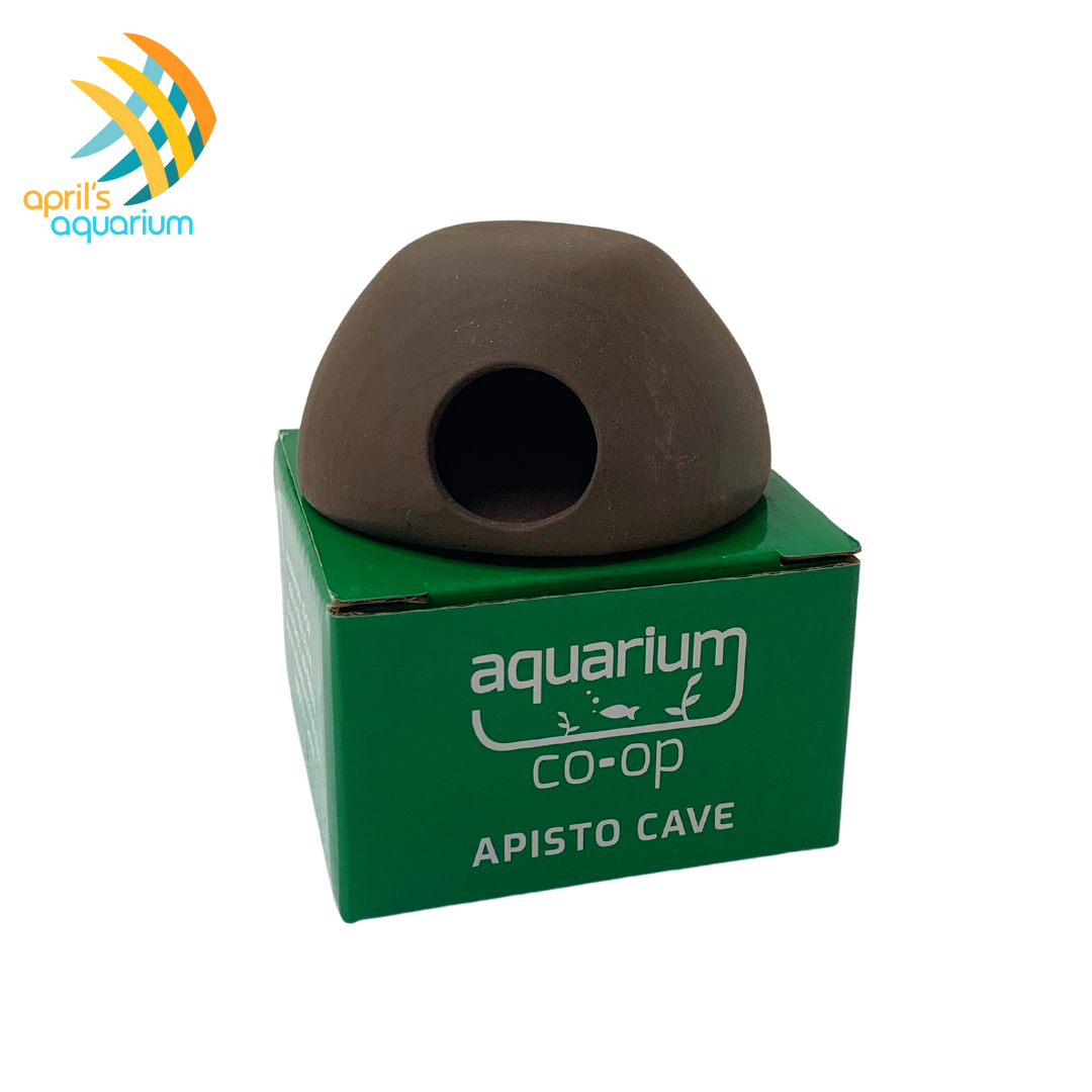 Aquarium Co-Op Apisto Cave | Decoration | Largest Tropical Fish Selection at Your Local Fish Store