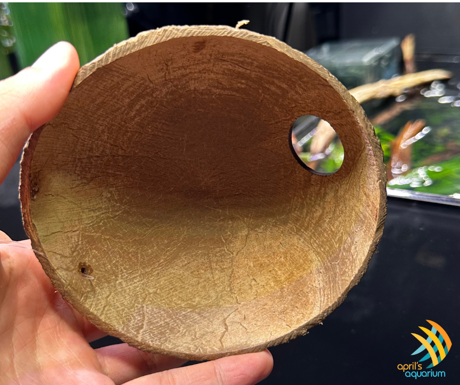 Aquarium Co-Op Coconut Hideout Hut | Substrates & Hardscape | Largest Tropical Fish Selection at Your Local Fish Store