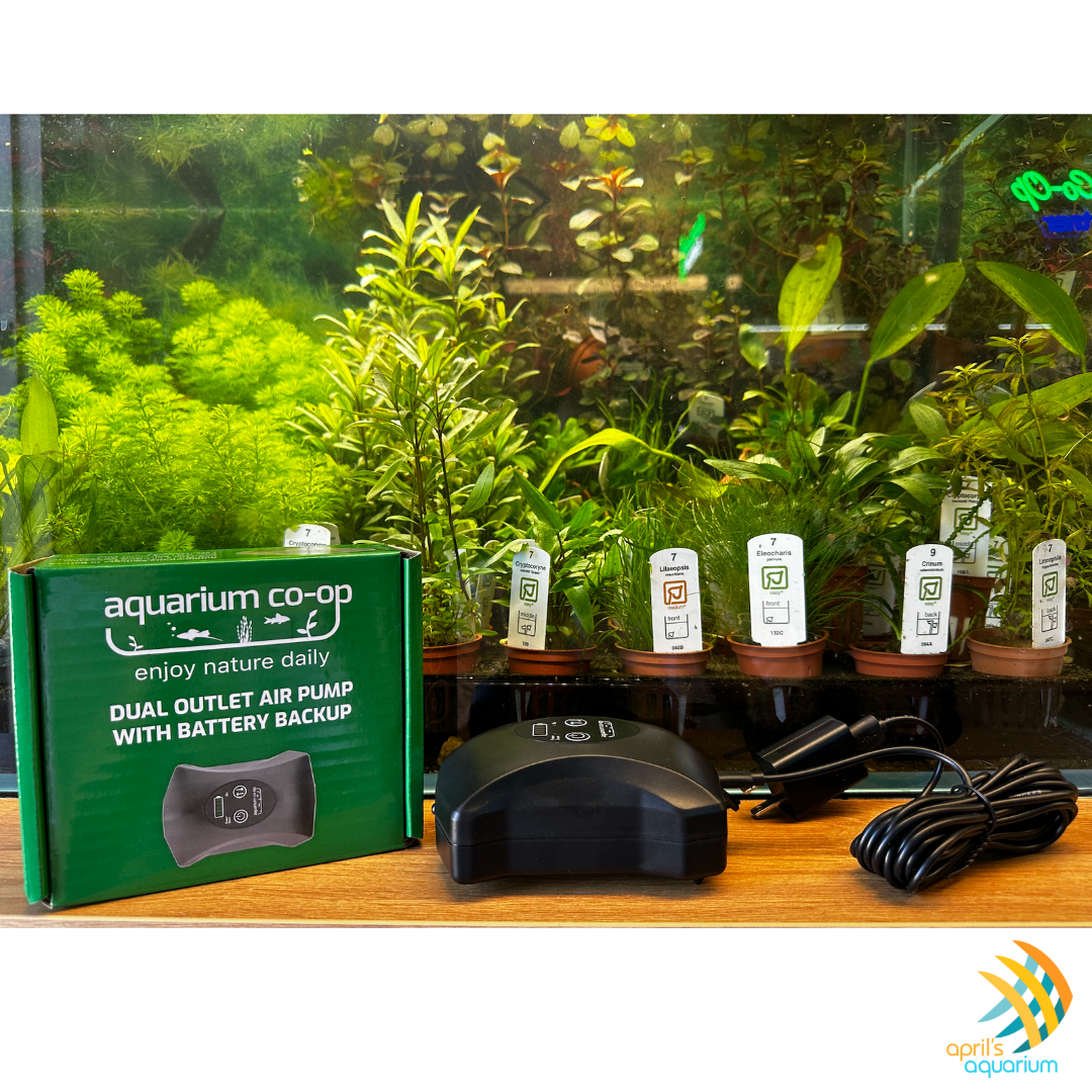 Aquarium Co-Op Air Pump with Battery Backup with Dual Outlet | Filters & Accessories | Largest Tropical Fish Selection at Your Local Fish Store