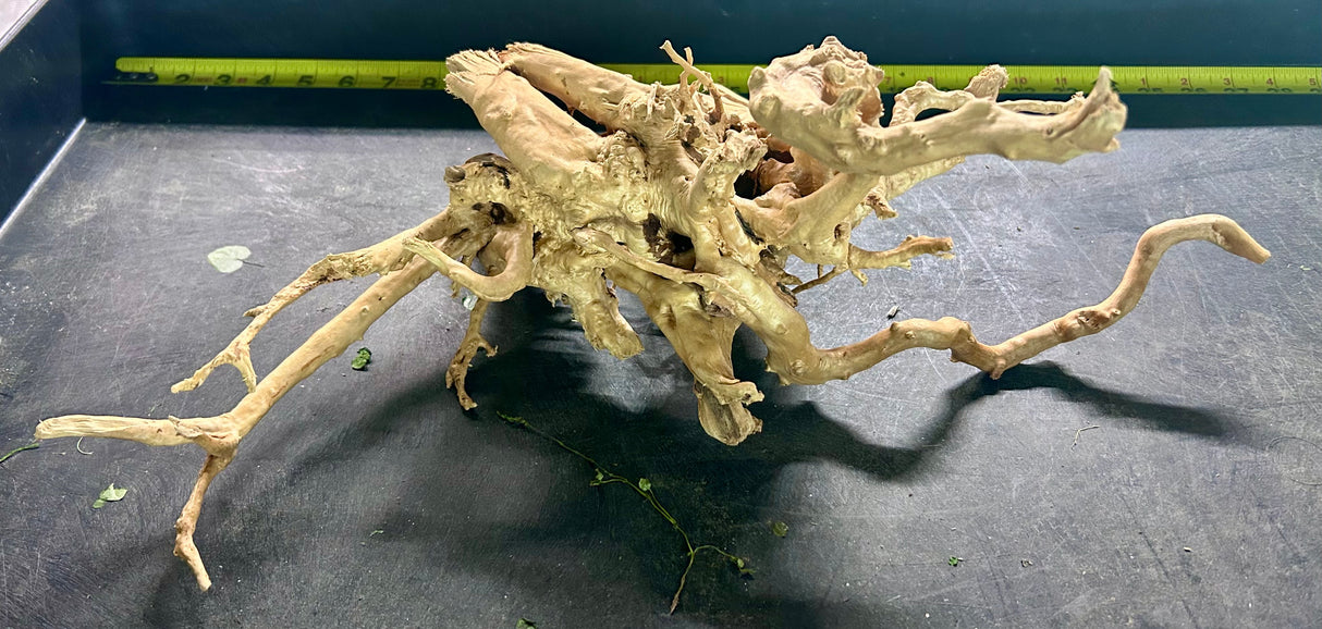 W.Y.S.I.W.Y.G.- 602 - Large Piece of Spiderwood