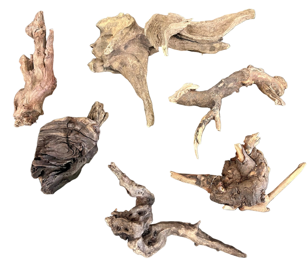 Malaysian Mangrove Wood 6 (pieces)