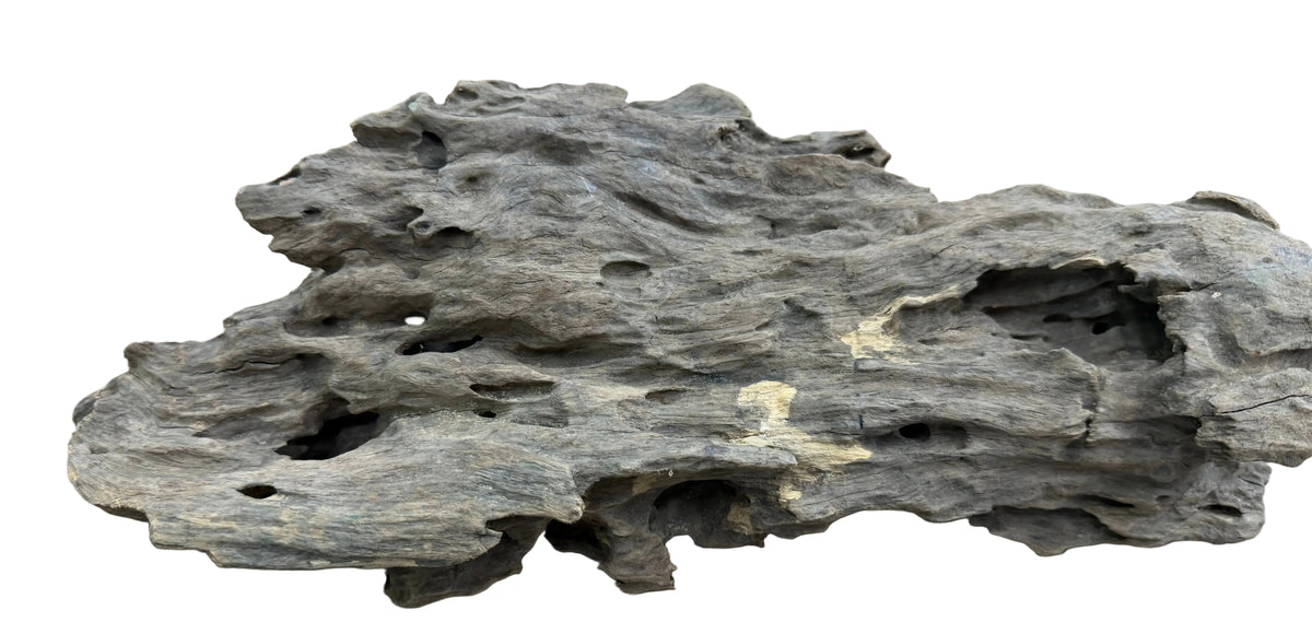 Texture / Shrimp Driftwood