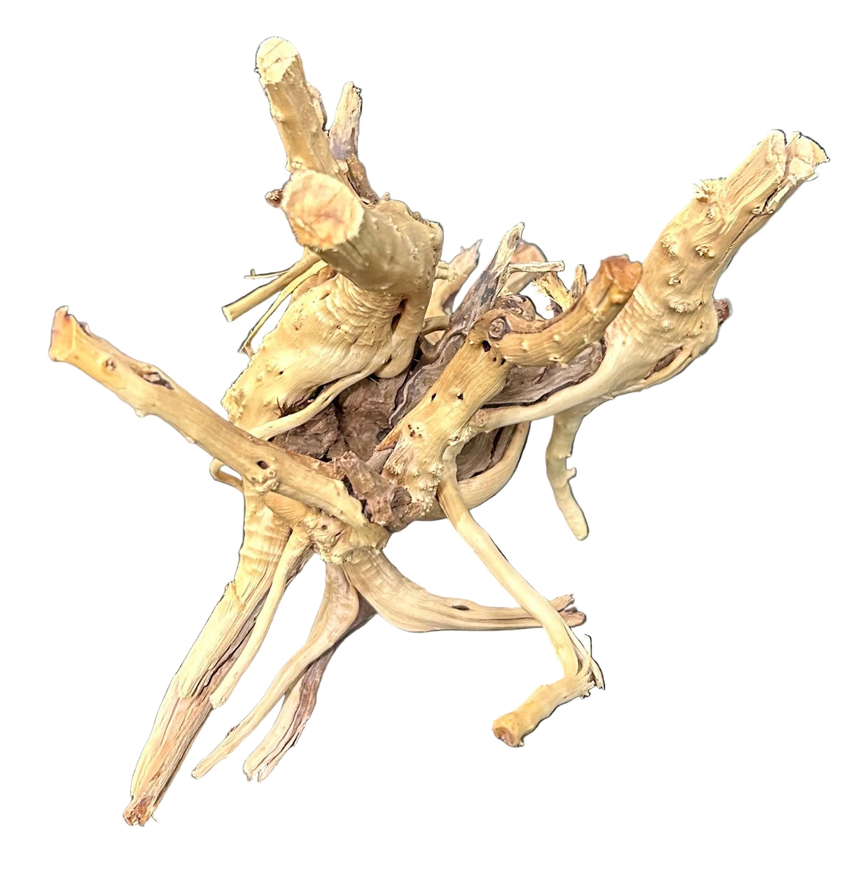 W.Y.S.I.W.Y.G.- 608 - Piece Spiderwood | Substrates & Hardscape | Largest Tropical Fish Selection at Your Local Fish Store