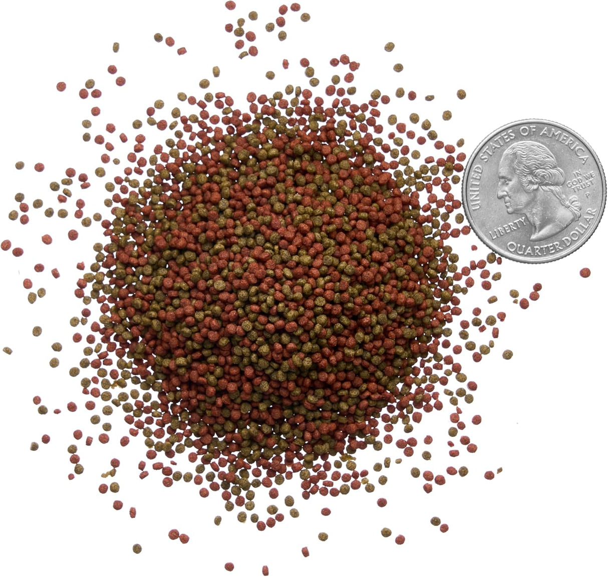 Pleco Ceramics Premium Floating Betta Pellets (colour enhancing) | Livestock Food | Largest Tropical Fish Selection at Your Local Fish Store