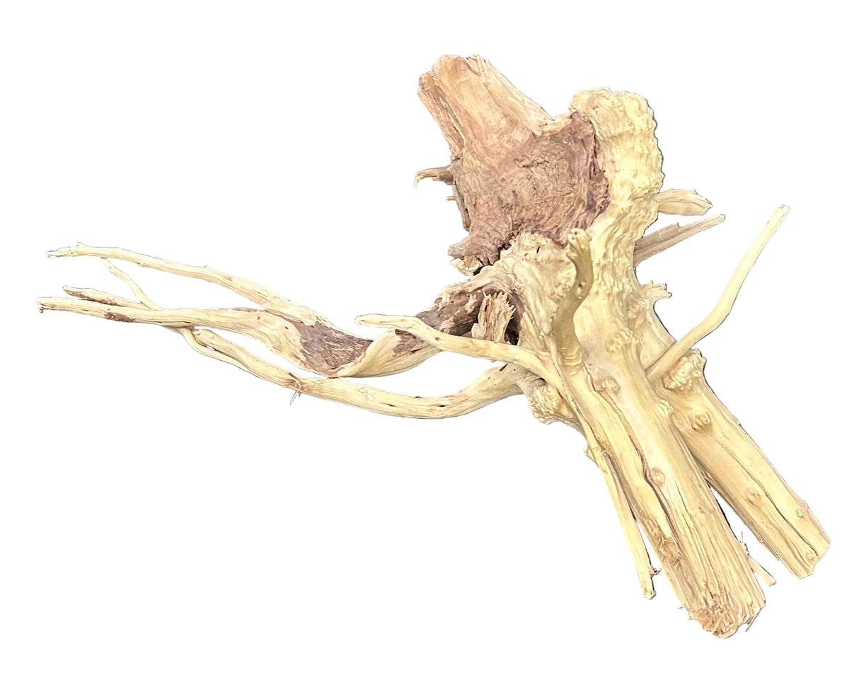 W.Y.S.I.W.Y.G.- 616 - Piece of Spiderwood | Substrates & Hardscape | Largest Tropical Fish Selection at Your Local Fish Store