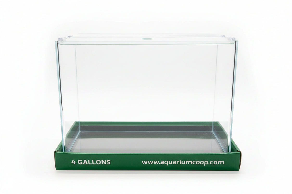 Aquarium Co-Op Curved Front Glass Aquarium | Aquariums | Largest Tropical Fish Selection at Your Local Fish Store