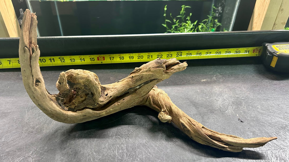 W.Y.S.I.W.Y.G.- 405 - Malaysian Mangrove Wood