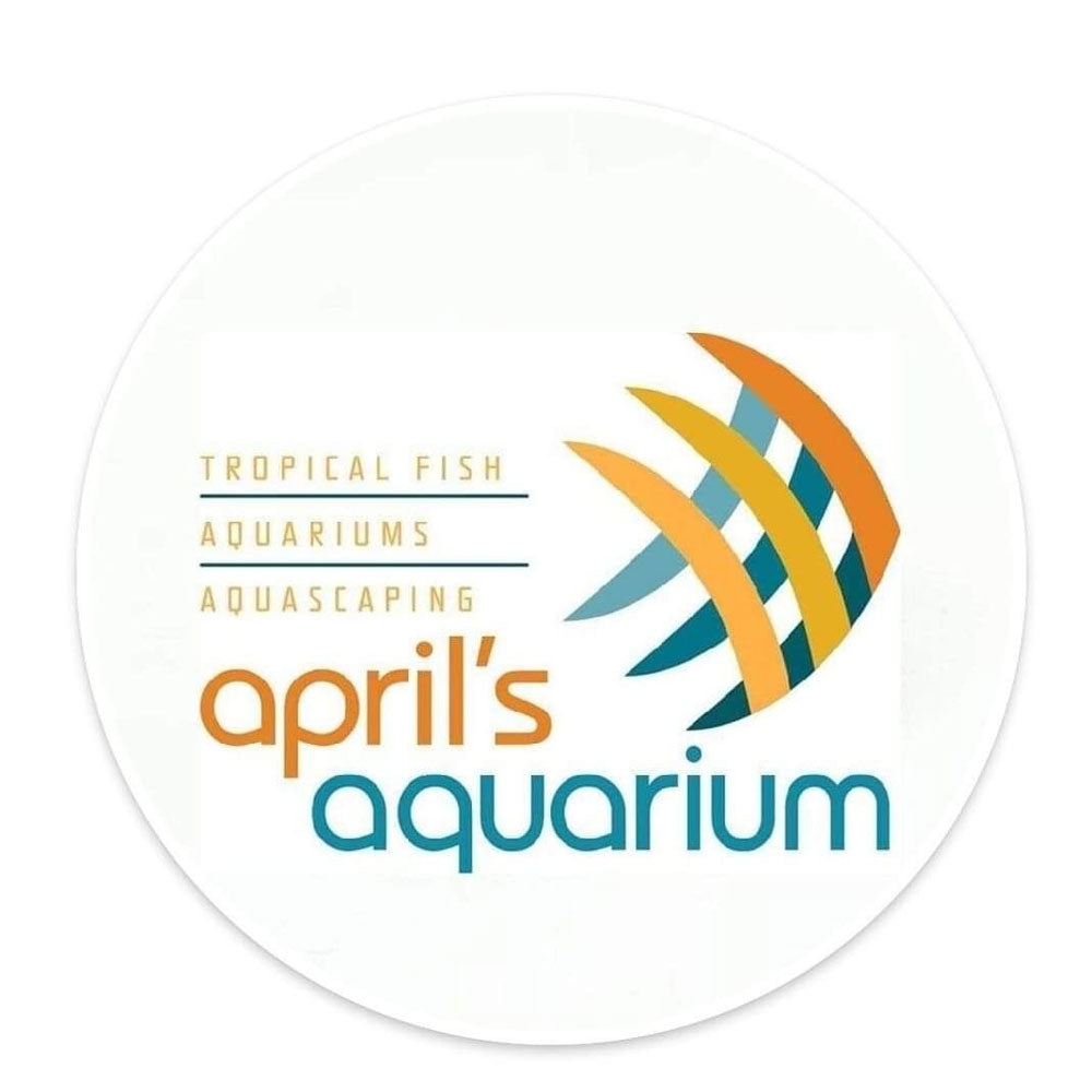 Your Local Fish Store Gift Card | Gift Card | Largest Tropical Fish Selection at Your Local Fish Store