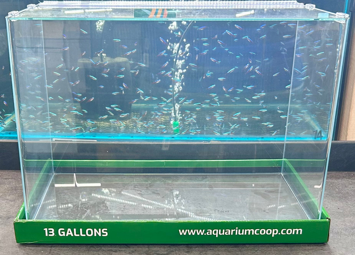 Aquarium Co-Op Curved Front Glass Aquarium | Aquariums | Largest Tropical Fish Selection at Your Local Fish Store