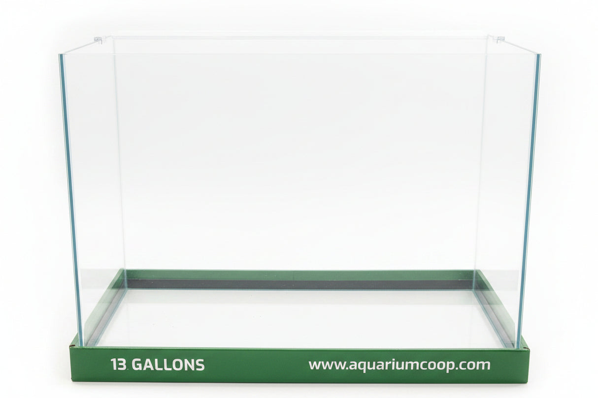 Aquarium Co-Op 13 Gallon Curved Front Glass Aquarium | Aquariums | Largest Tropical Fish Selection at Your Local Fish Store