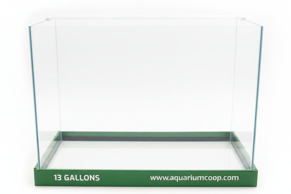 Aquarium Co-Op Curved Front - Low Iron - Glass Aquarium with glass cover | Aquariums | Largest Tropical Fish Selection at Your Local Fish Store