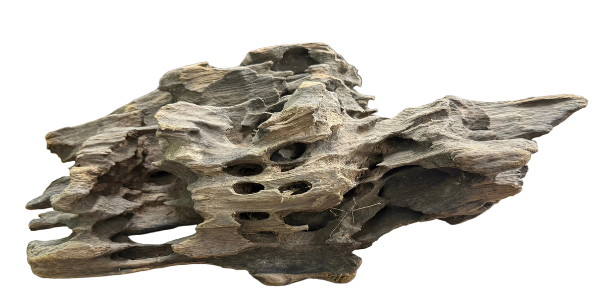 W.Y.S.I.W.Y.G.- 214 - Texture / Shrimp Driftwood | Substrates & Hardscape | Largest Tropical Fish Selection at Your Local Fish Store