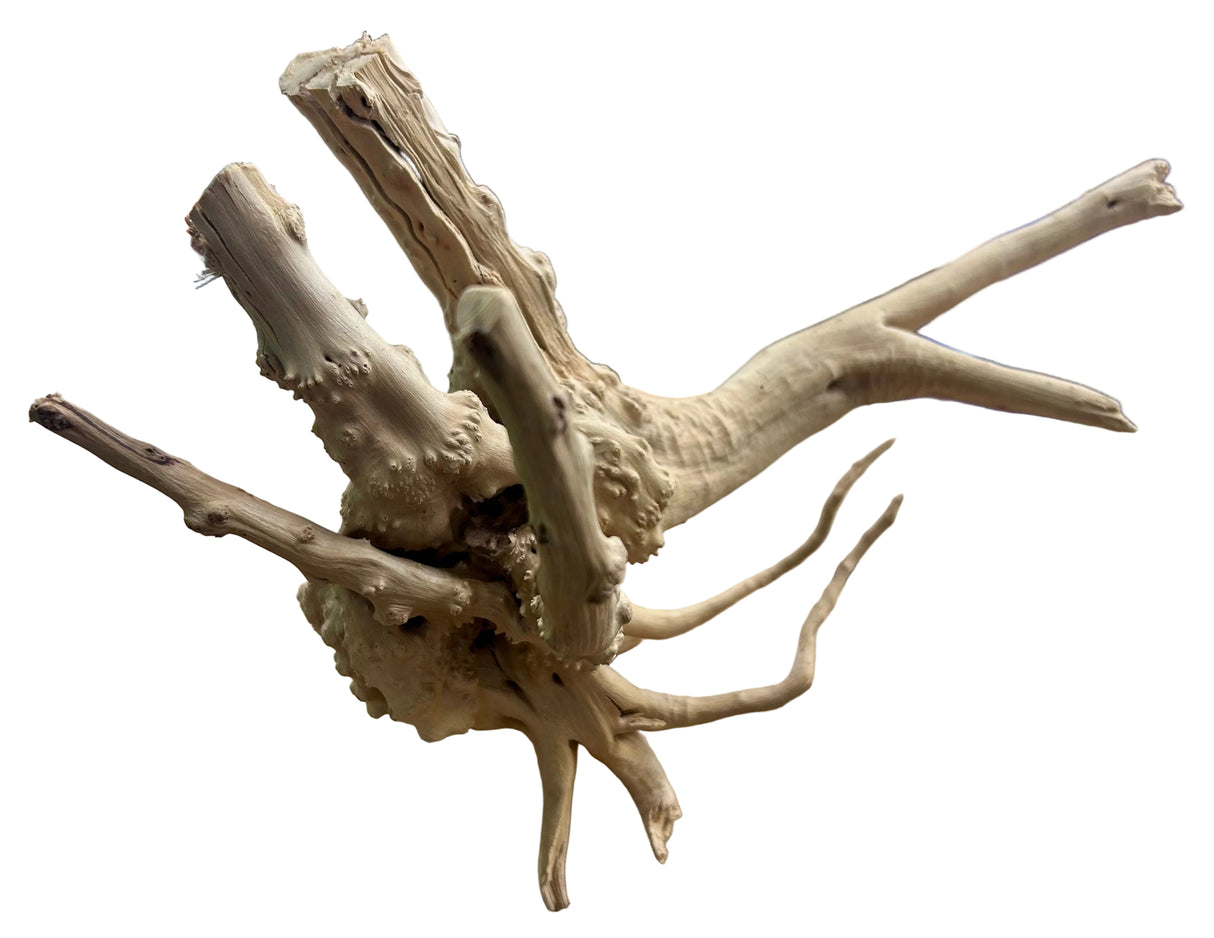 Piece Spiderwood