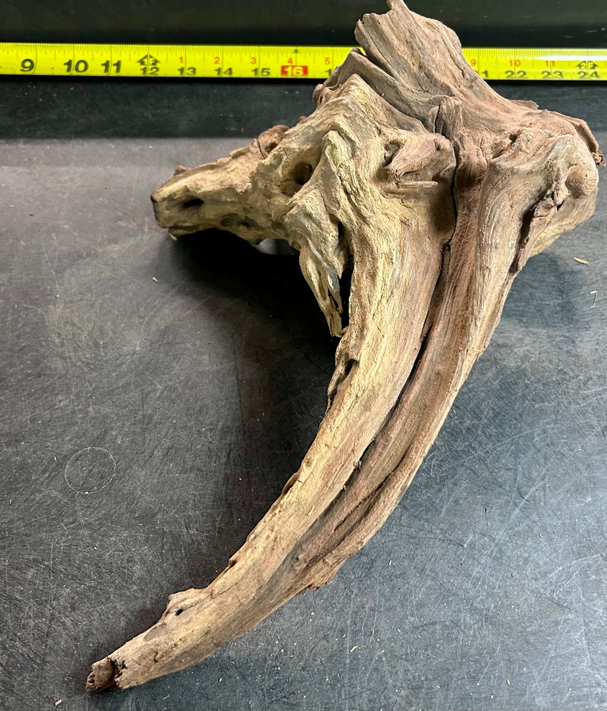 W.Y.S.I.W.Y.G.- 406 - Malaysian Mangrove Wood