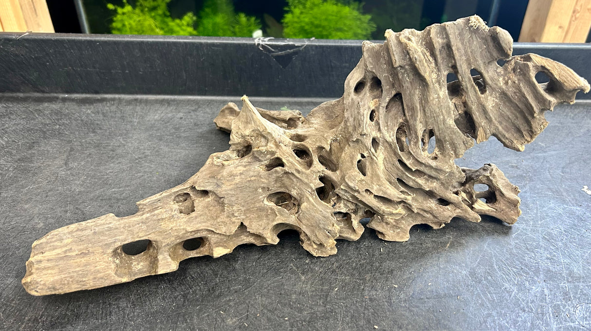 W.Y.S.I.W.Y.G.- 213 - Texture / Shrimp Driftwood