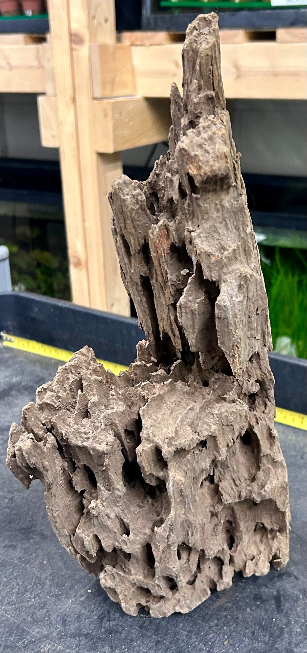 W.Y.S.I.W.Y.G.- 205 - Texture / Shrimp Driftwood