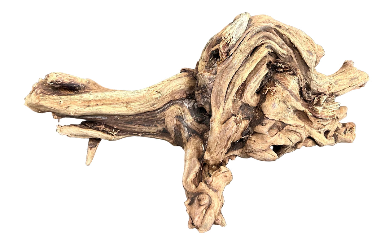 Malaysian Sinking Driftwood Wood
