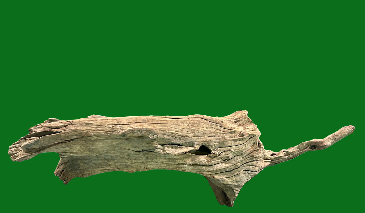 W.Y.S.I.W.Y.G.- 419 - Malaysian Mangrove Wood