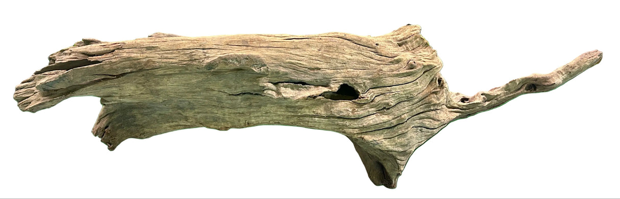 Malaysian Mangrove Wood