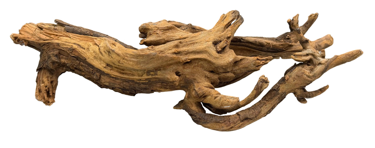 Malaysian Mangrove Sinking Driftwood