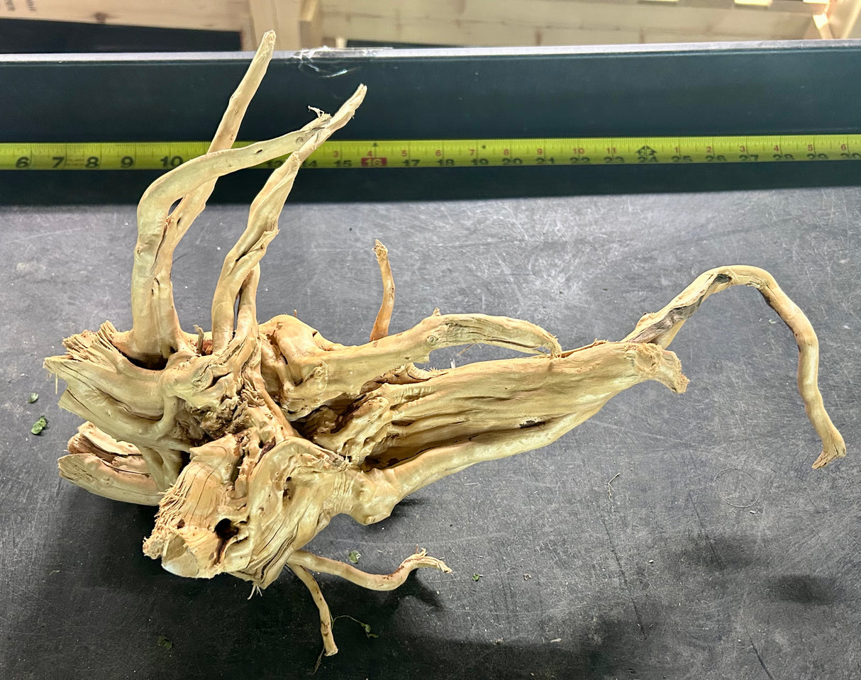 W.Y.S.I.W.Y.G.- 603 - Large Piece of Spiderwood