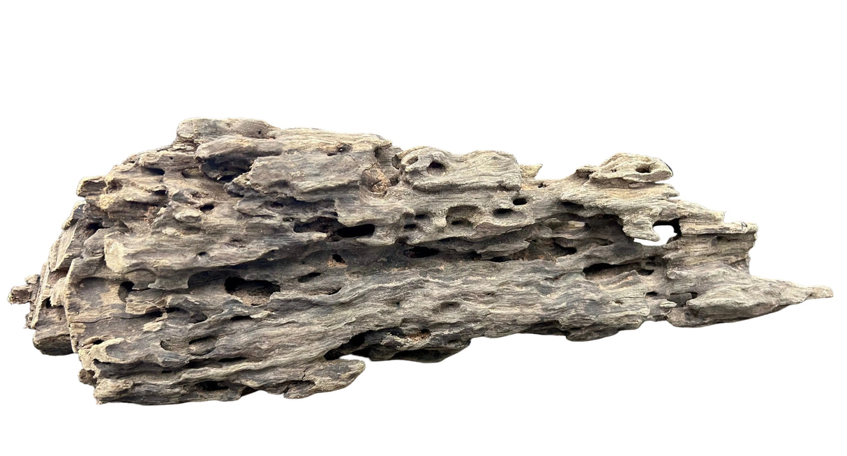 Texture / Shrimp Driftwood